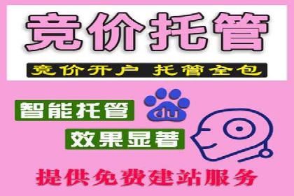 SEM推广优化实战：案例与策略分析